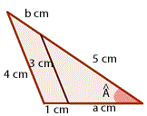 ejercicio del teorema de thales 1