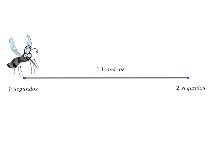 rapidez de un mosquito