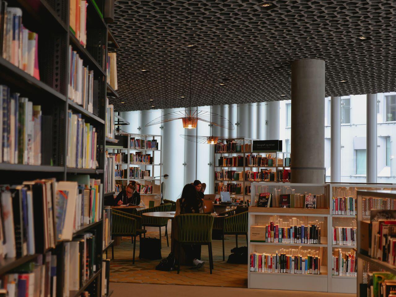bibliotheque avec des jeunes a l interieur etudiant