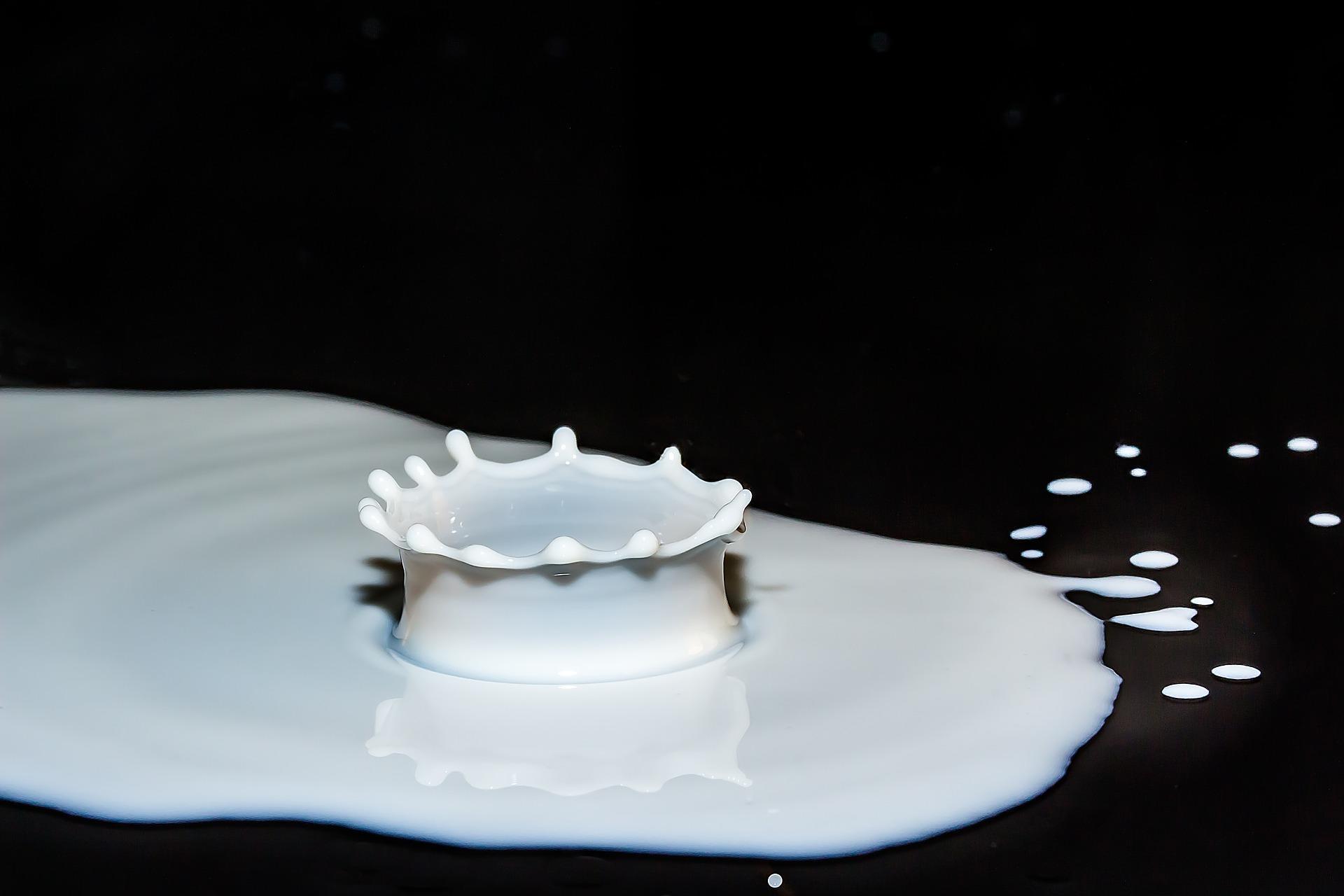 Pourquoi boire du lait ?