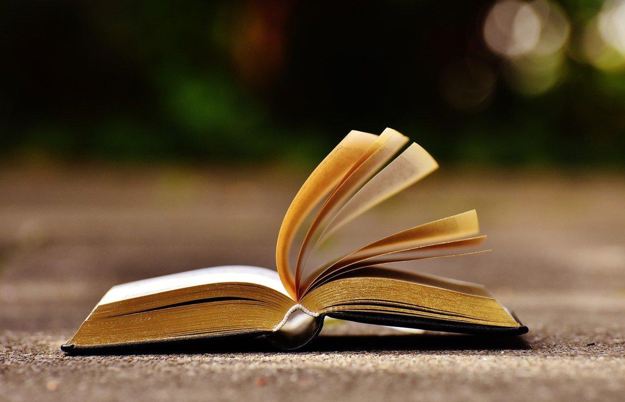 Quelles différences entre auteur, narrateur et protagoniste ? 