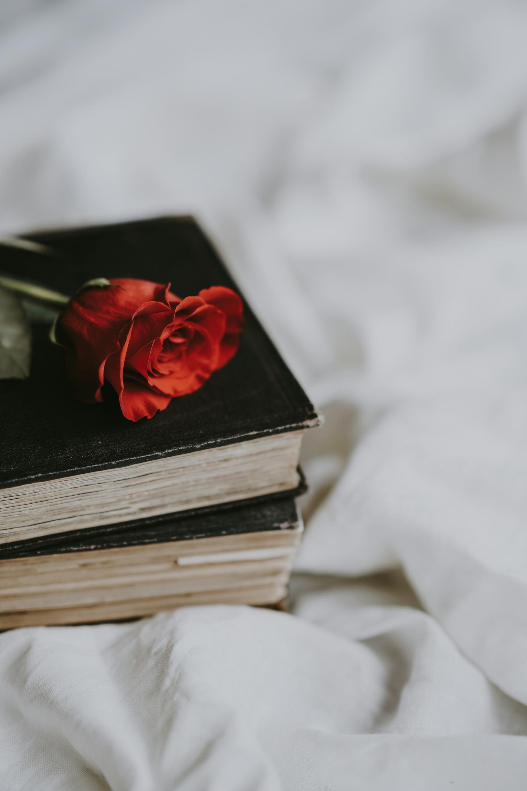 livre rose