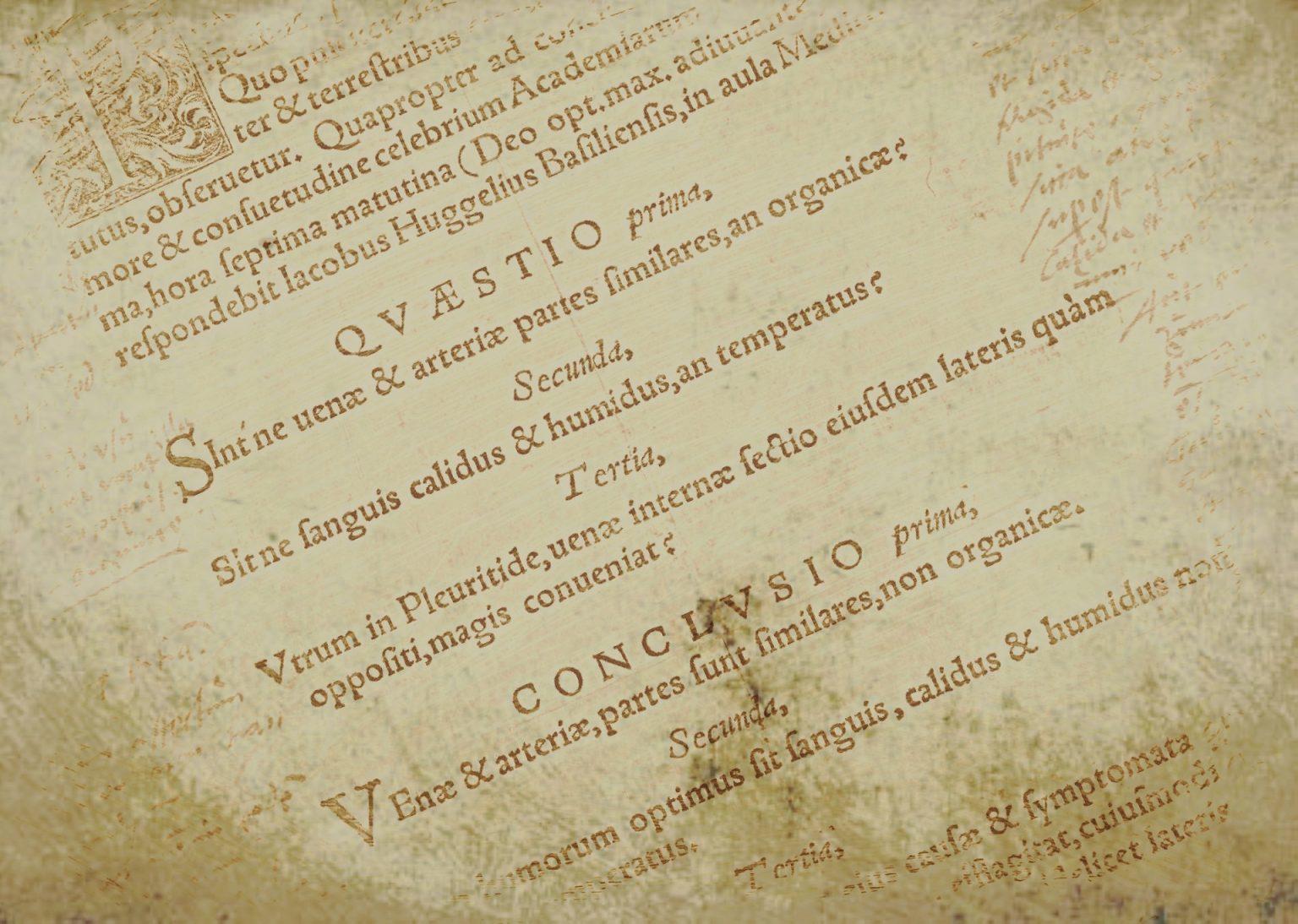 Participe Passé En Latin www.superprof.fr