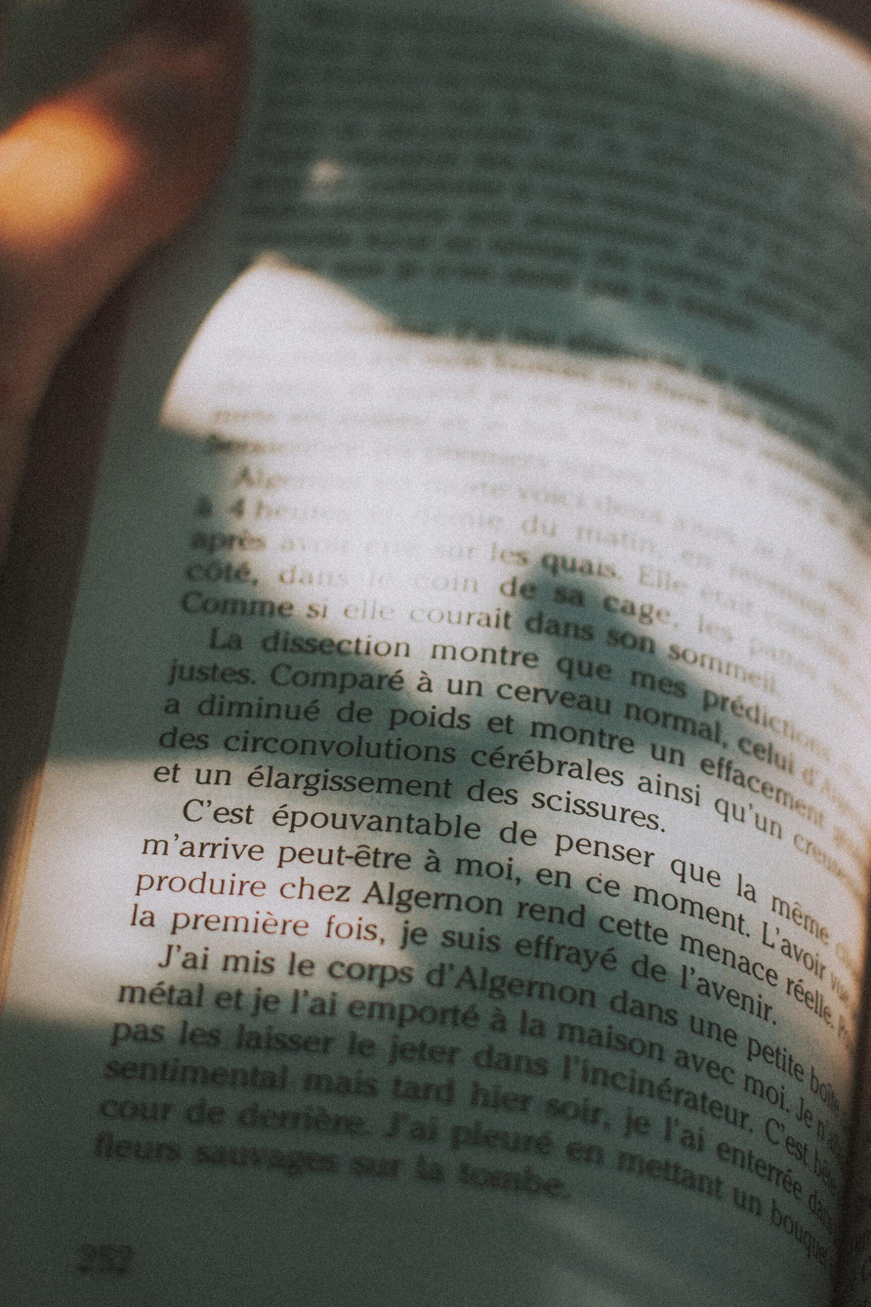 Une page de livre écrit en français.