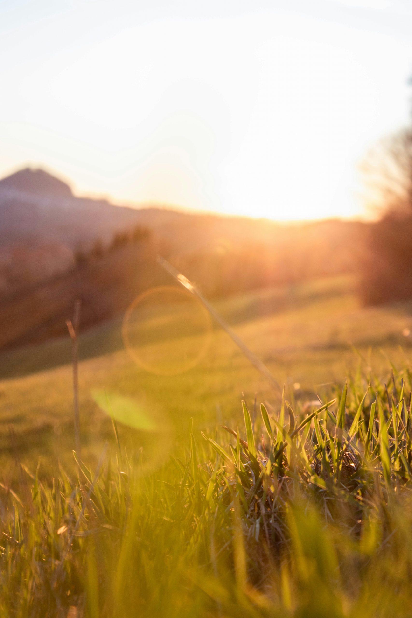 Un champ illuminé par la lumière du soleil.