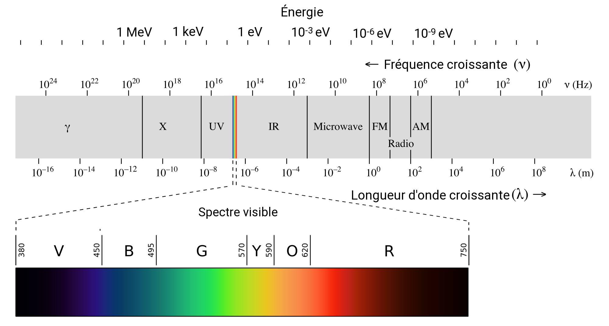 Quelles sont les longueurs d'ondes visibles par l’œil humain ?