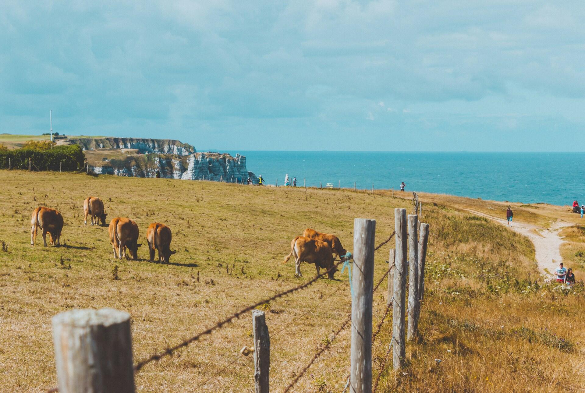 paysage Normandie