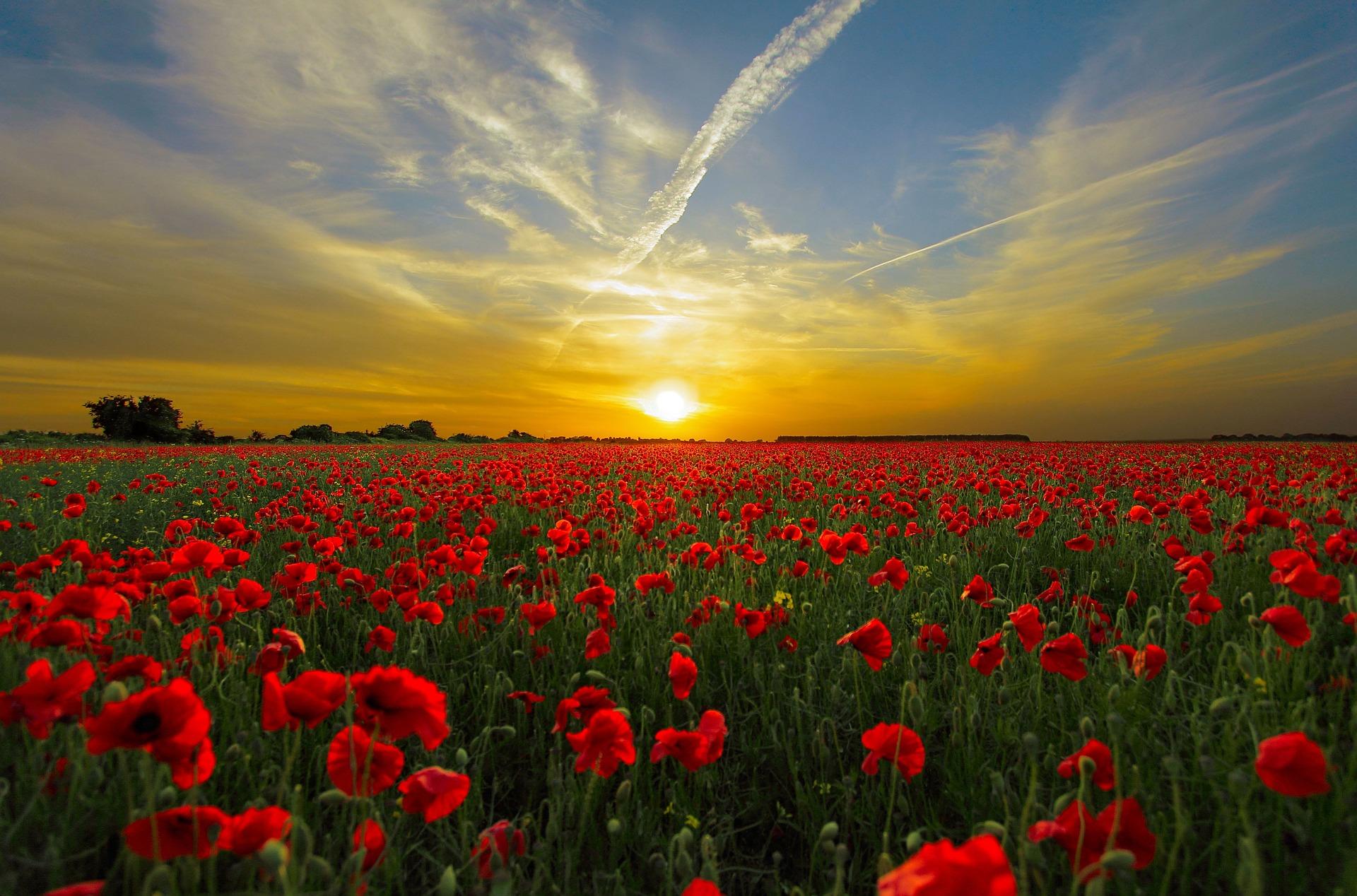 Source primaire (Soleil) et source secondaire (Terre)