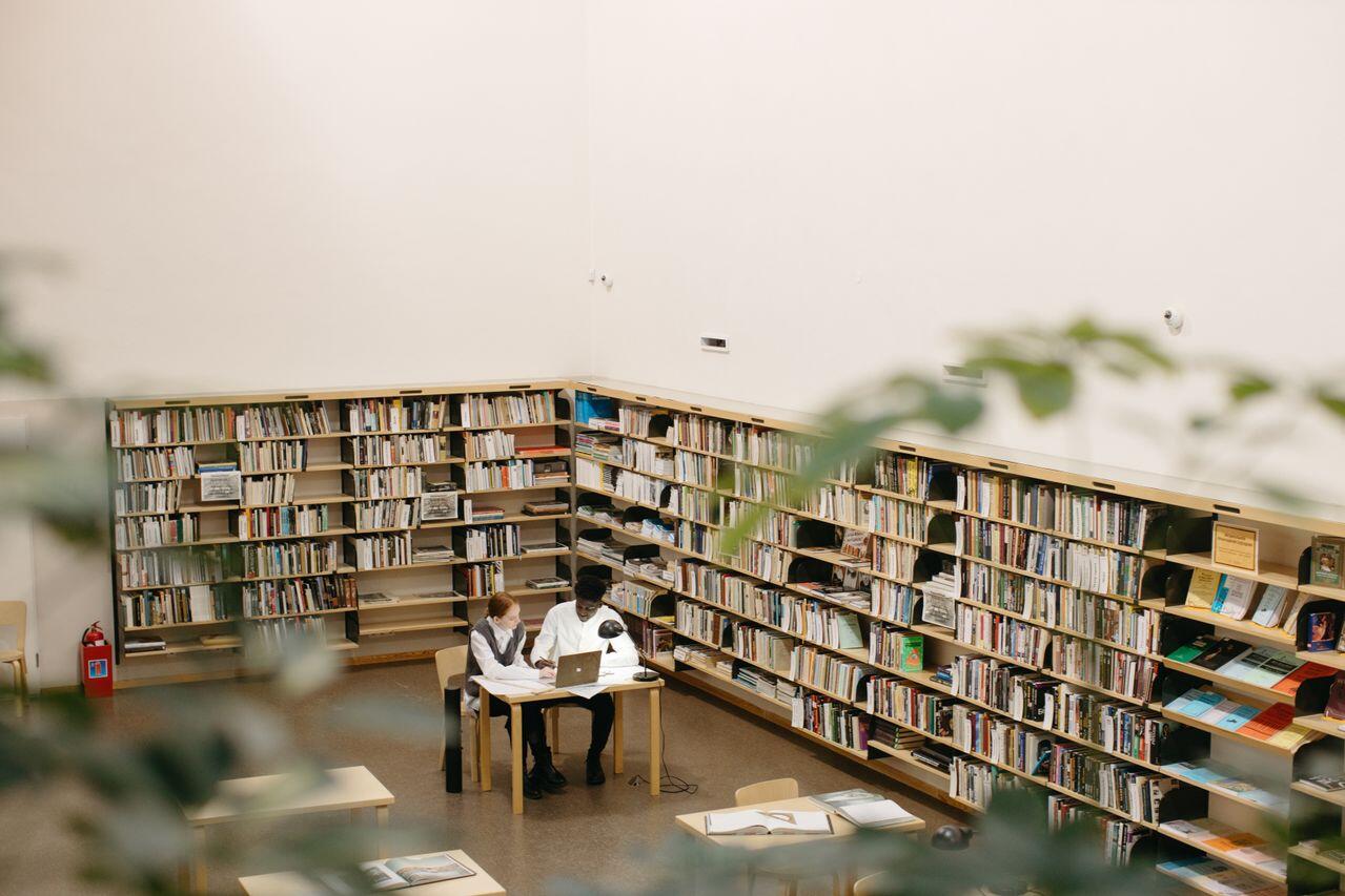deux jeunes concentres et s entraidant au sein d une bibliothèque