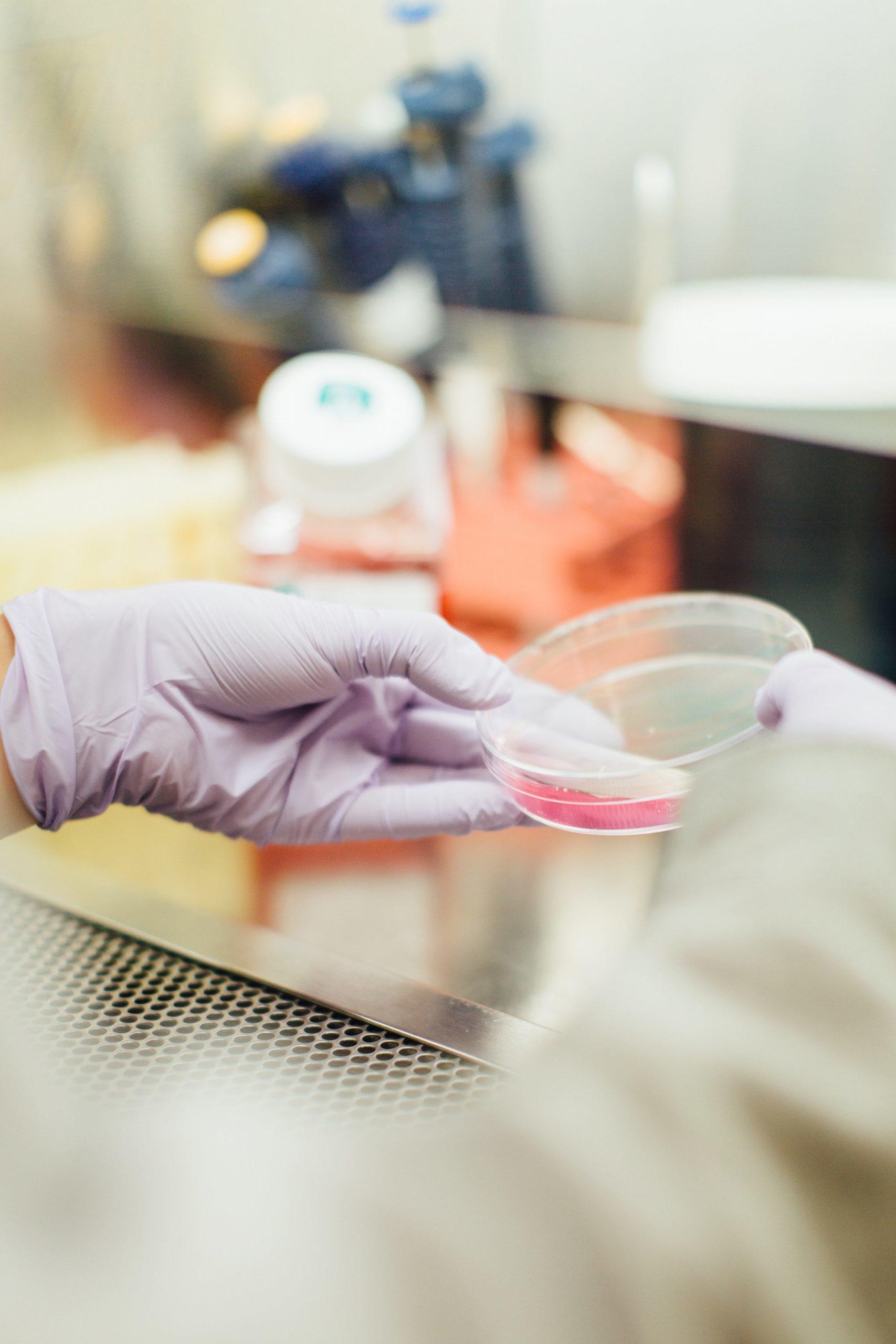 personne en train de faire un test en laboratoire avec une soucoupe