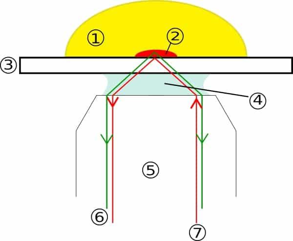 Comment fonctionne un microscope de fluorescence par réflexion totale interne ?