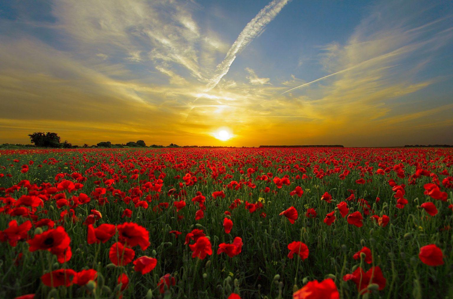 Les Caractéristiques de notre Soleil