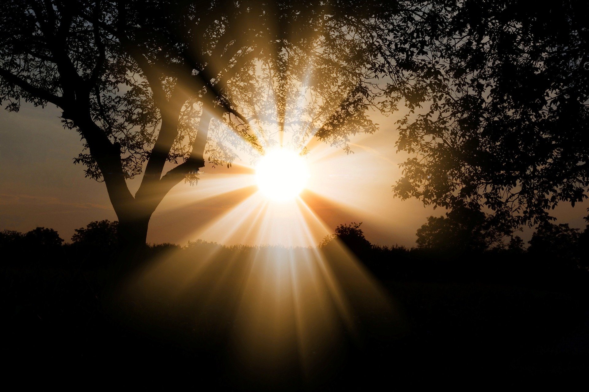 Pourquoi le Soleil est-il important à la vie ?