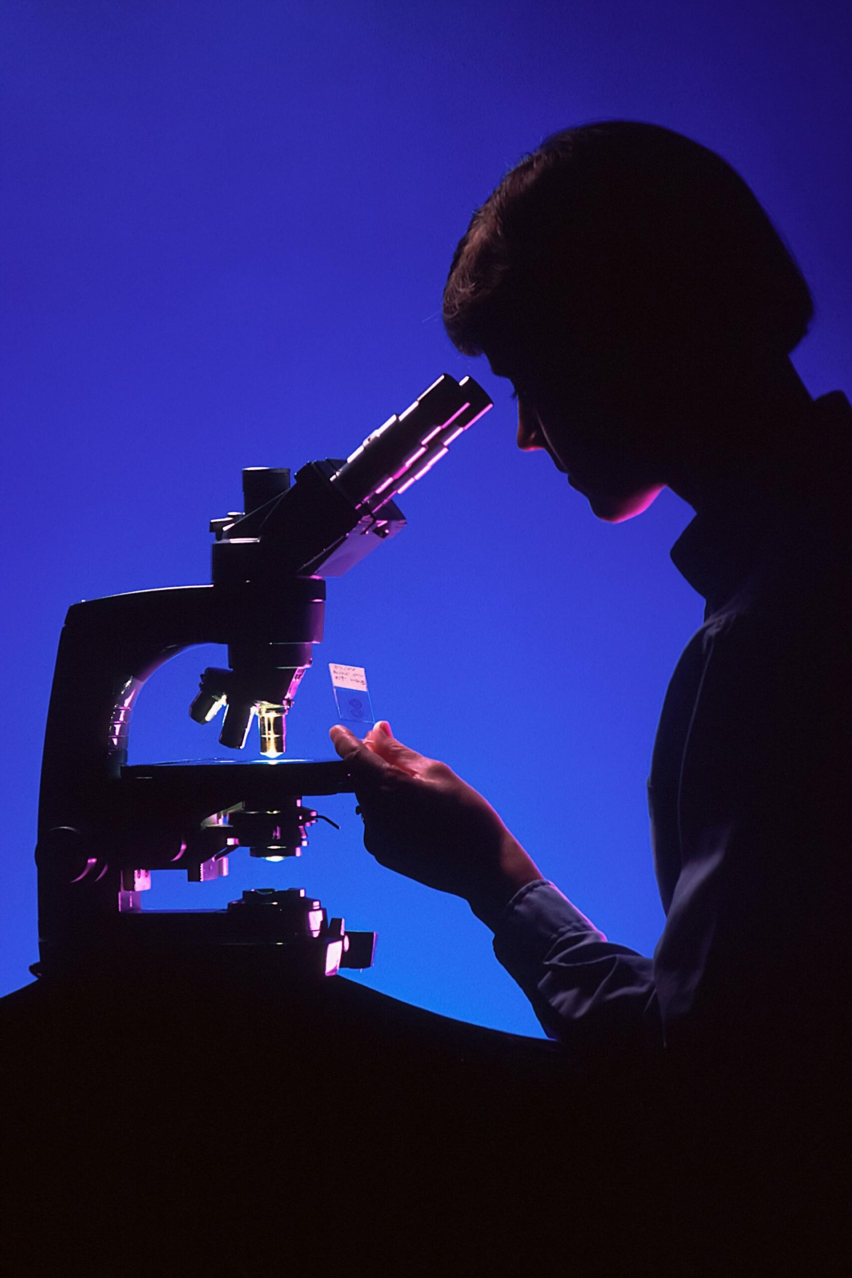 science études au microscope