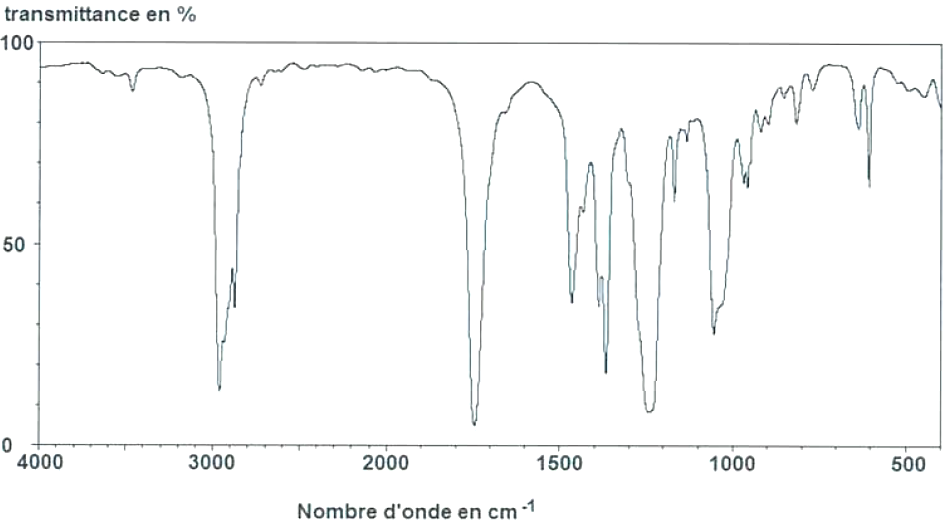 Comment fait une abeille pour appeler au secours ?