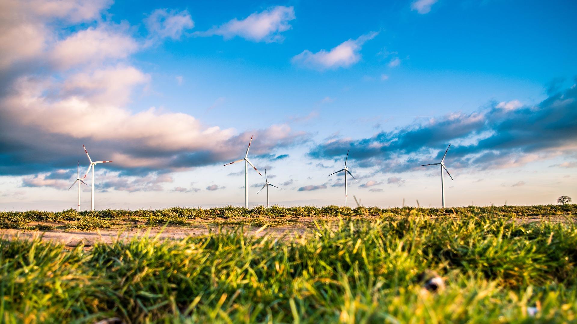 Que pensez-vous de la présence dans éoliennes dans les champs ?