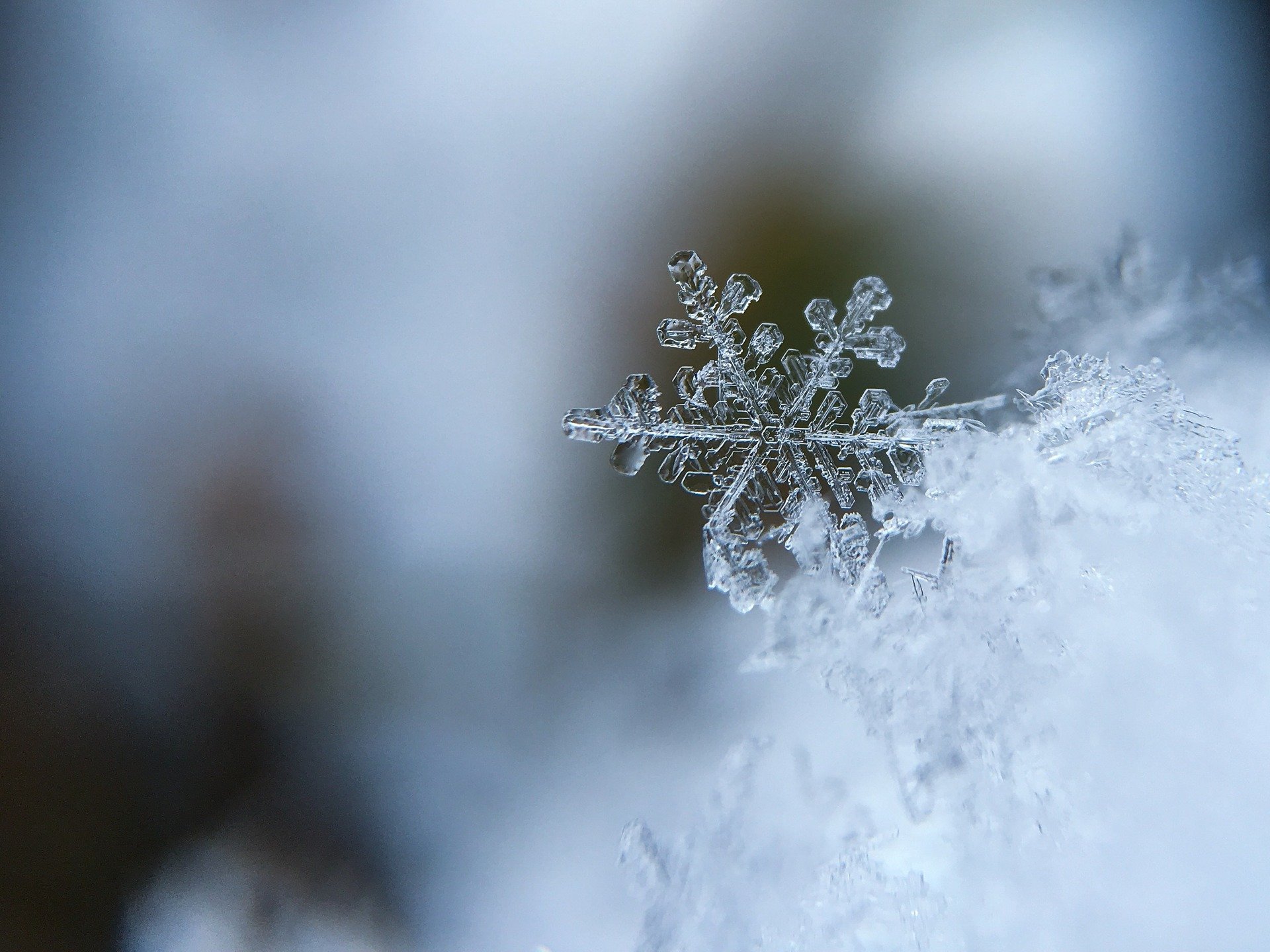 Comment observer des flocons de neige ?