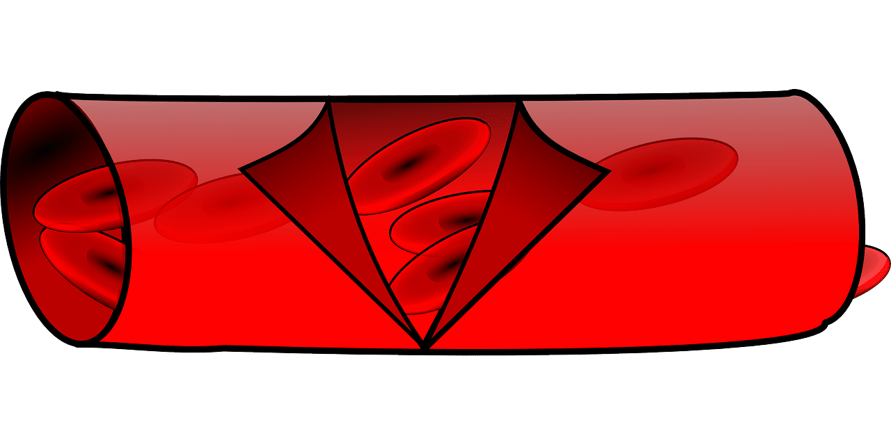 Comment Poiseuille a découvert l'écoulement laminaire ?