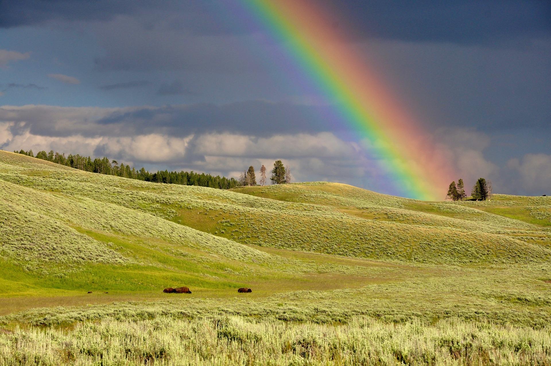 Comment créer un arc-en-ciel chez soi ?