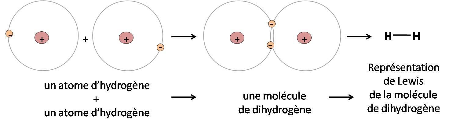 A quoi ressemble le dihydrogène selon Lewis?