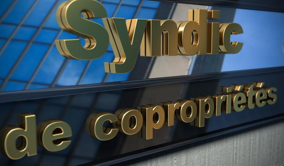 Comment définir la propriété collective ?