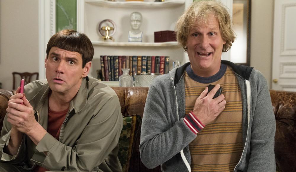 Le droit ne protège pas les imbéciles.