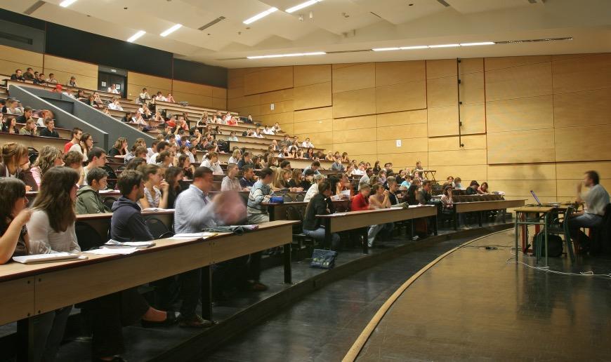 Certains fonctionnaires sont titulaires de leur emploi et de leur grade.