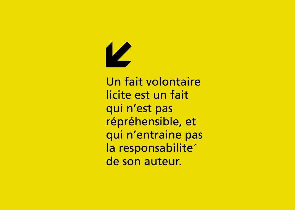 On assiste à ce que Jean Carbonnier (1996) appelle la « montée » récente des droits subjectifs.