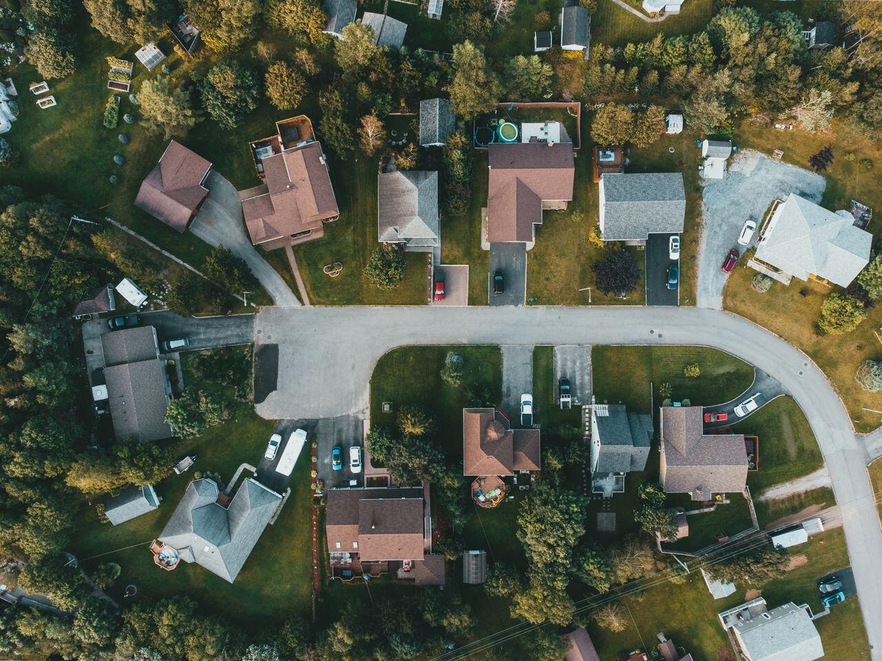 lotissement de maisons avec une route et differents arbres