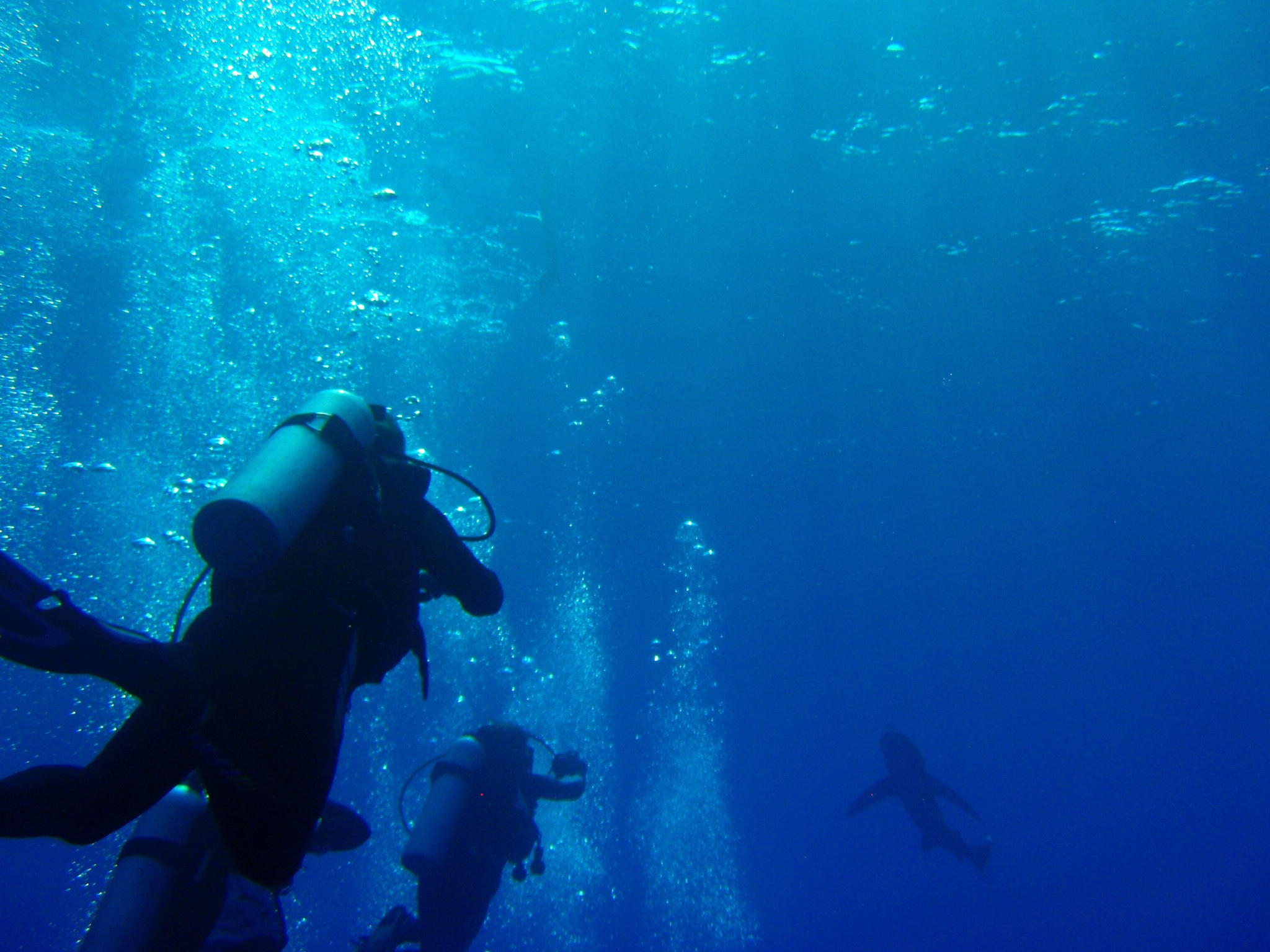 Quels sont les risques de la plongée sur les poumons ?