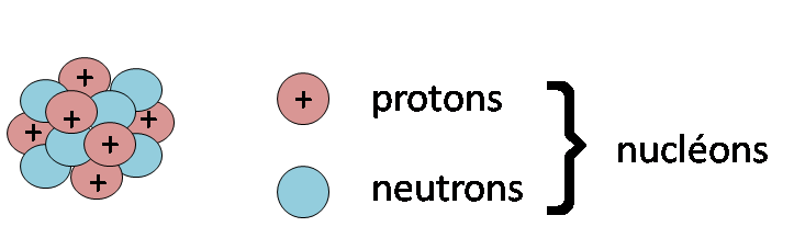 De quoi se compose la noyau atomique?