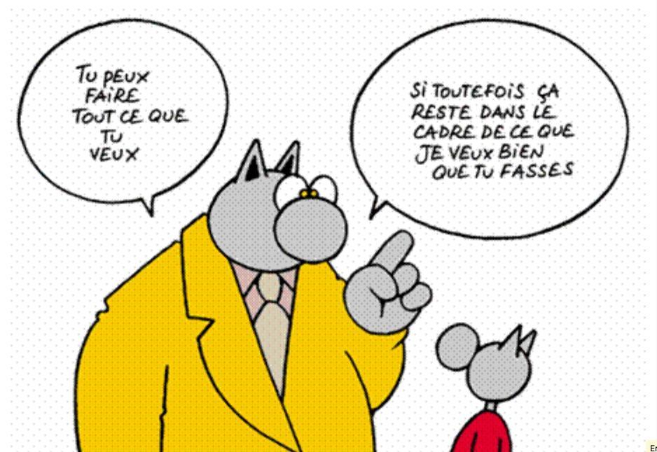 Le droit de la CEDH a modifié le regard que nous posons sur cette éternel rapport de force qui existe envers et contre tout entre le Pouvoir et l'individu car 2 idées vont incontestablement s'imposer à l'esprit.