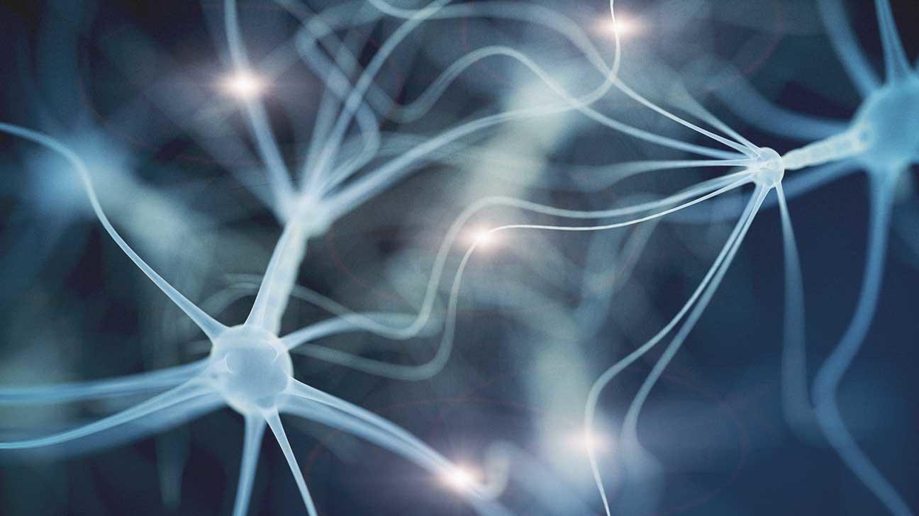 Qu'est-ce que la cybernétique ?