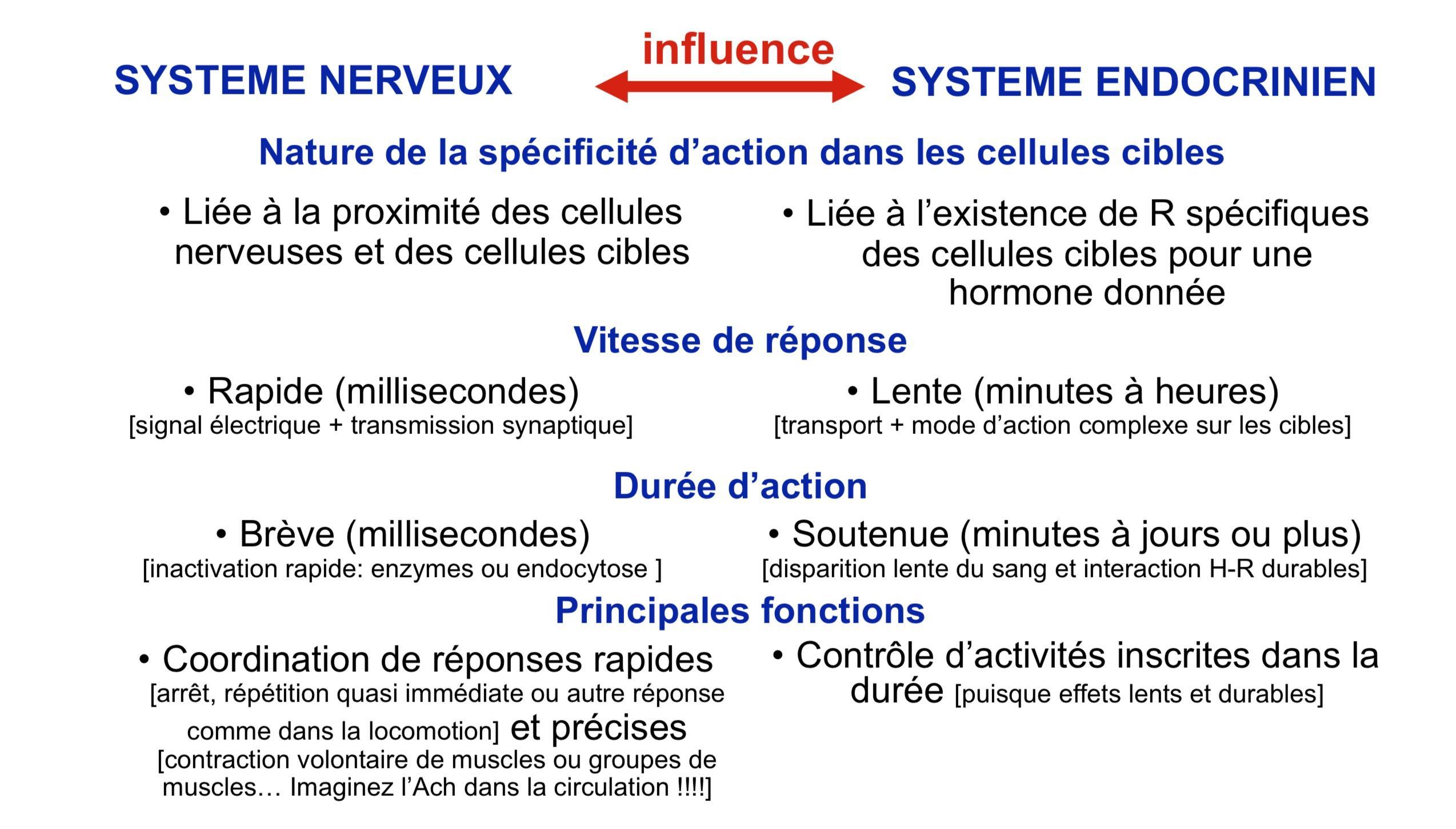 [exemple des neurohormones, des catécholamines; rôle du SE dans le développement et la maturation du SN; complémentarité des SE et SN (ex du Syst. Digestif)], influence du SN sur les sécrétions hormonales...]