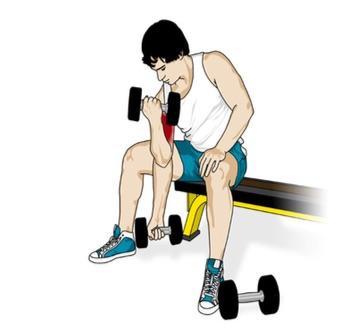 Comment effectuer un curl concentration ?