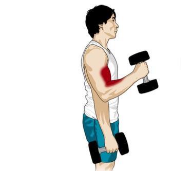 Quelle prise prendre sur le curl ?