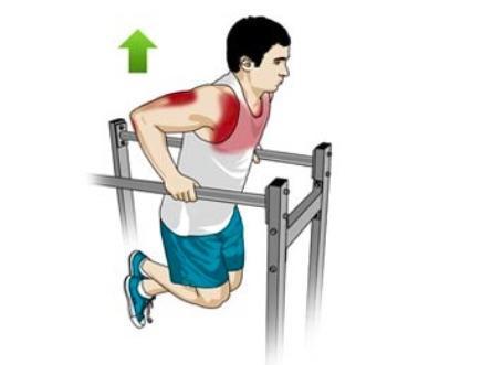 Comment utiliser les barres parallèles ?