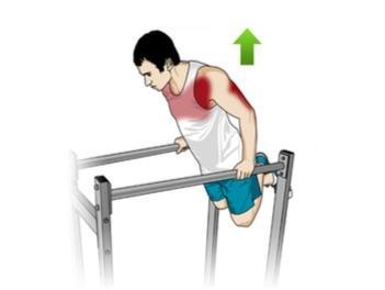 Comment bosser les pecs avec des barres ?