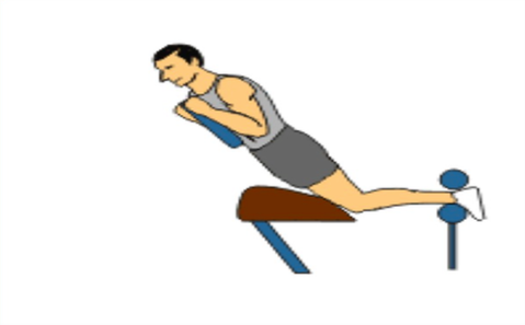 Comment muscler cuisses et fesses ?