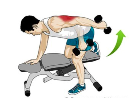 Comment travailler le triceps ?