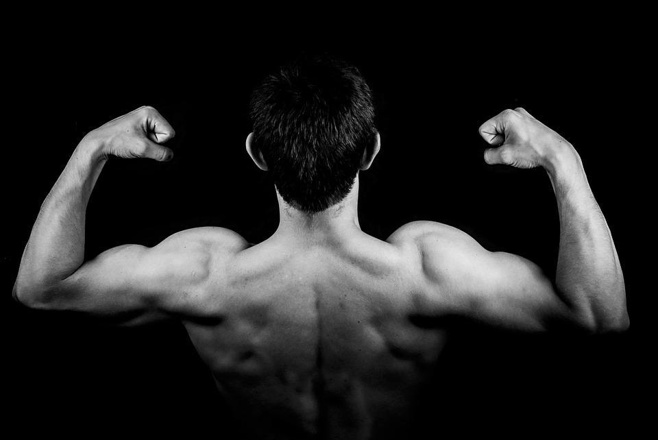 Comment bosser les triceps ?