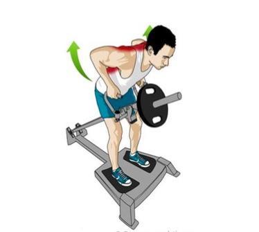 Comment travailler les dorsaux à la barre ?