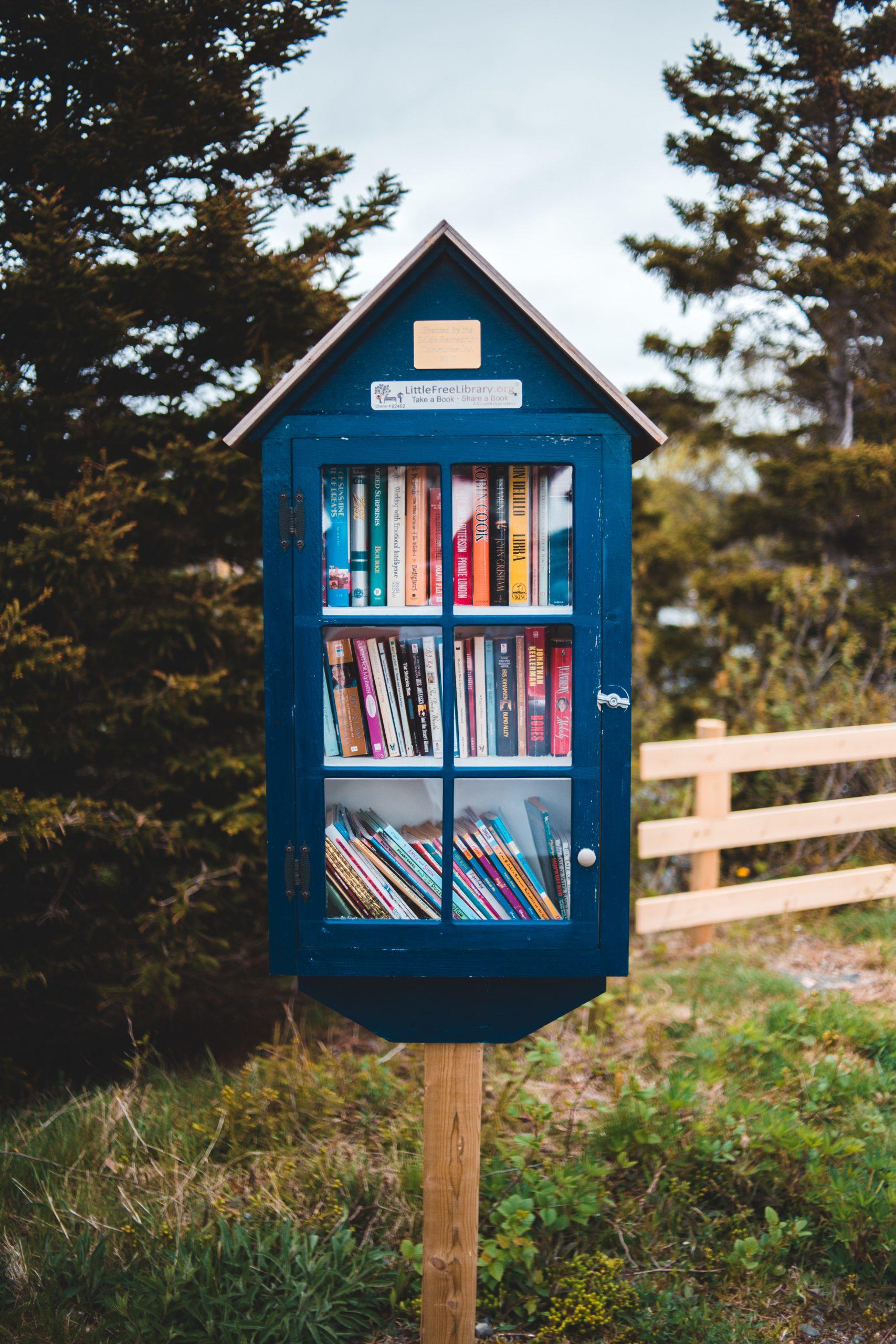 Une boîte à livres en anglais;