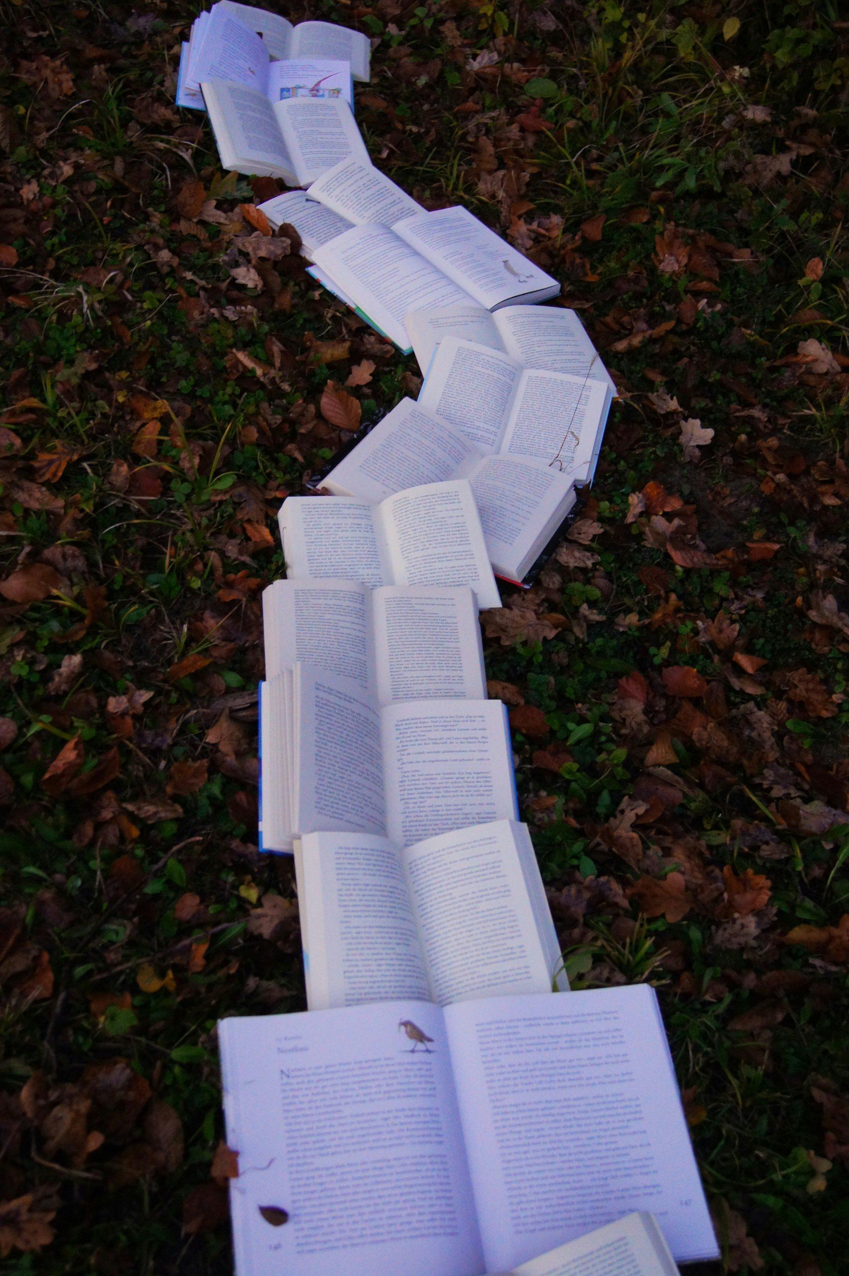 Une file de livres ouverts forment un chemin dans les feuilles mortes.