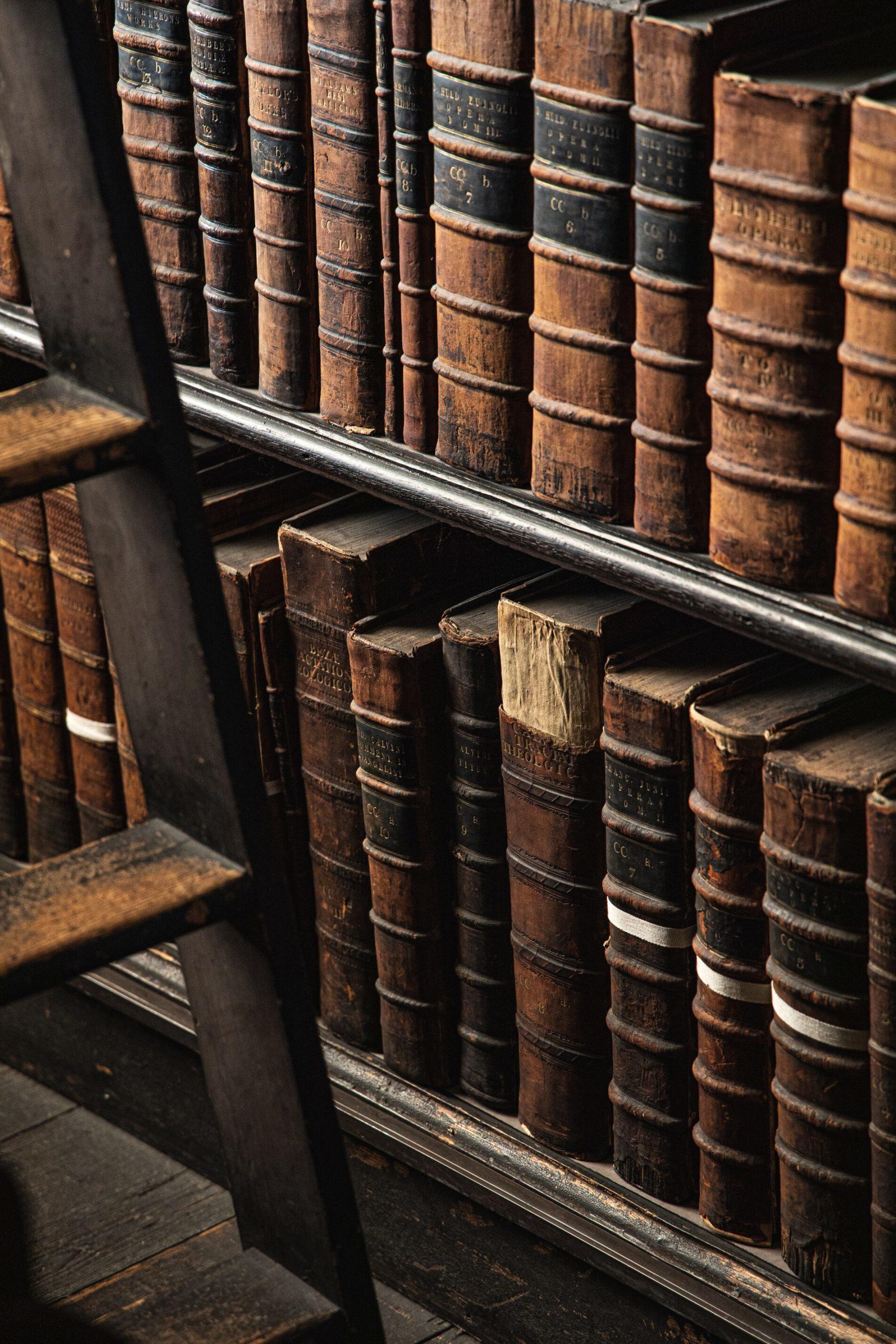 Des livres d'histoire dans une bibliothèque.