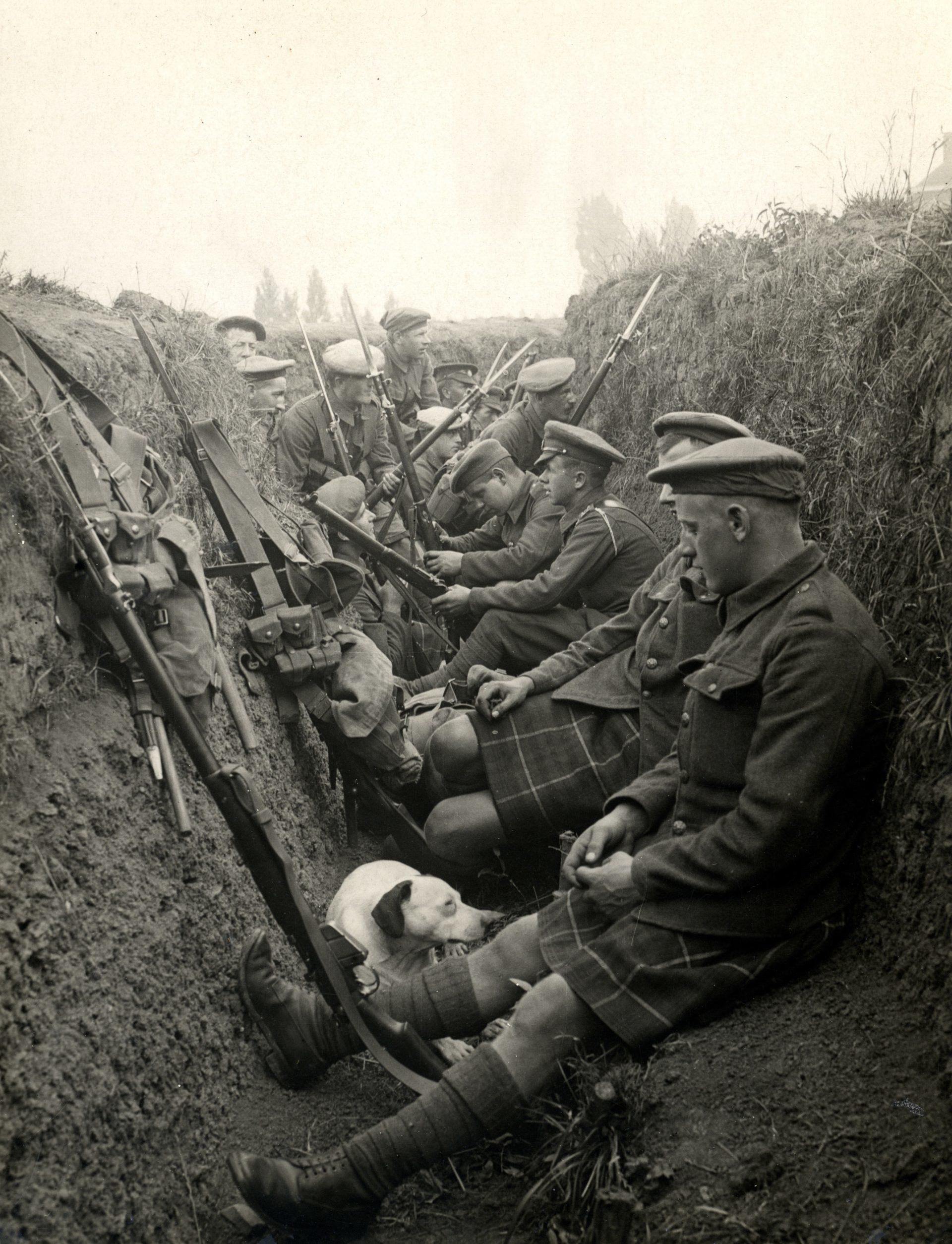 Les Causes De D clenchement De La Grande Guerre les-causes-de-d-clenchement-de-la-grande-guerre