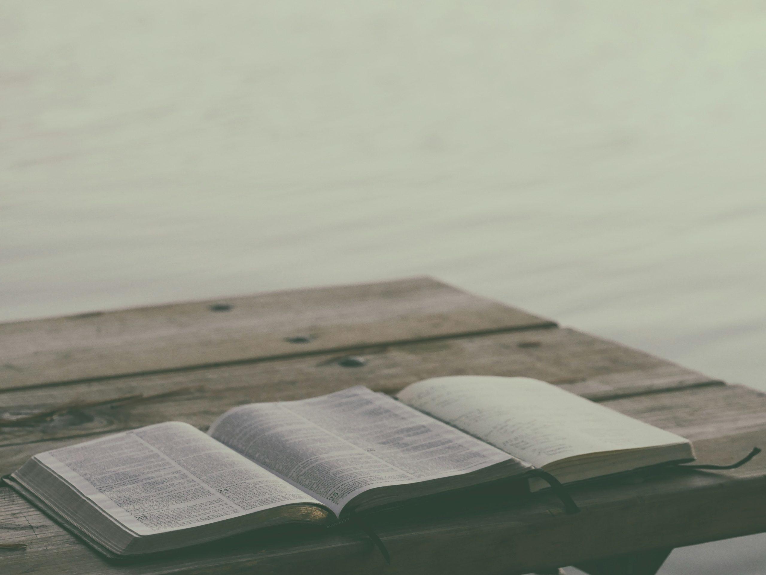 Des livres ouverts sur le ponton d'un lac.