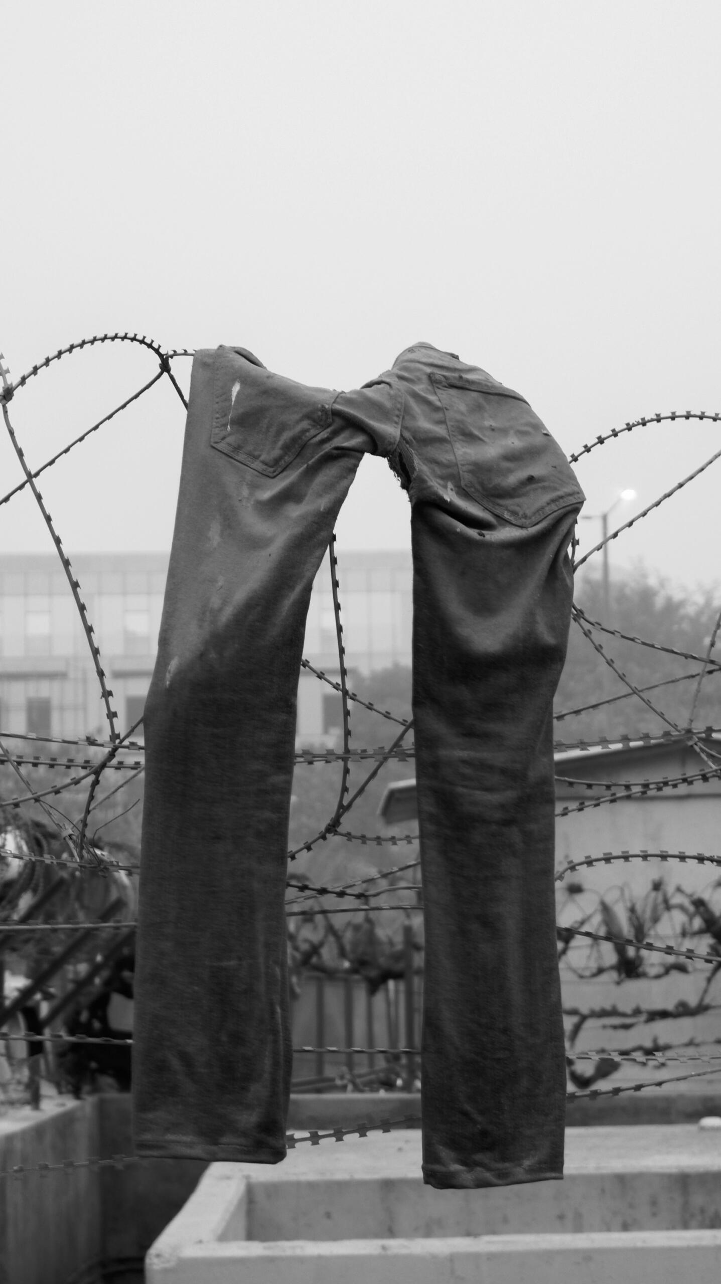 pantalon pauvreté barbelets