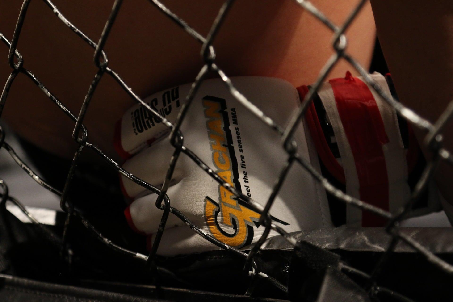 Quels sont les plus grands noms du MMA en France ?