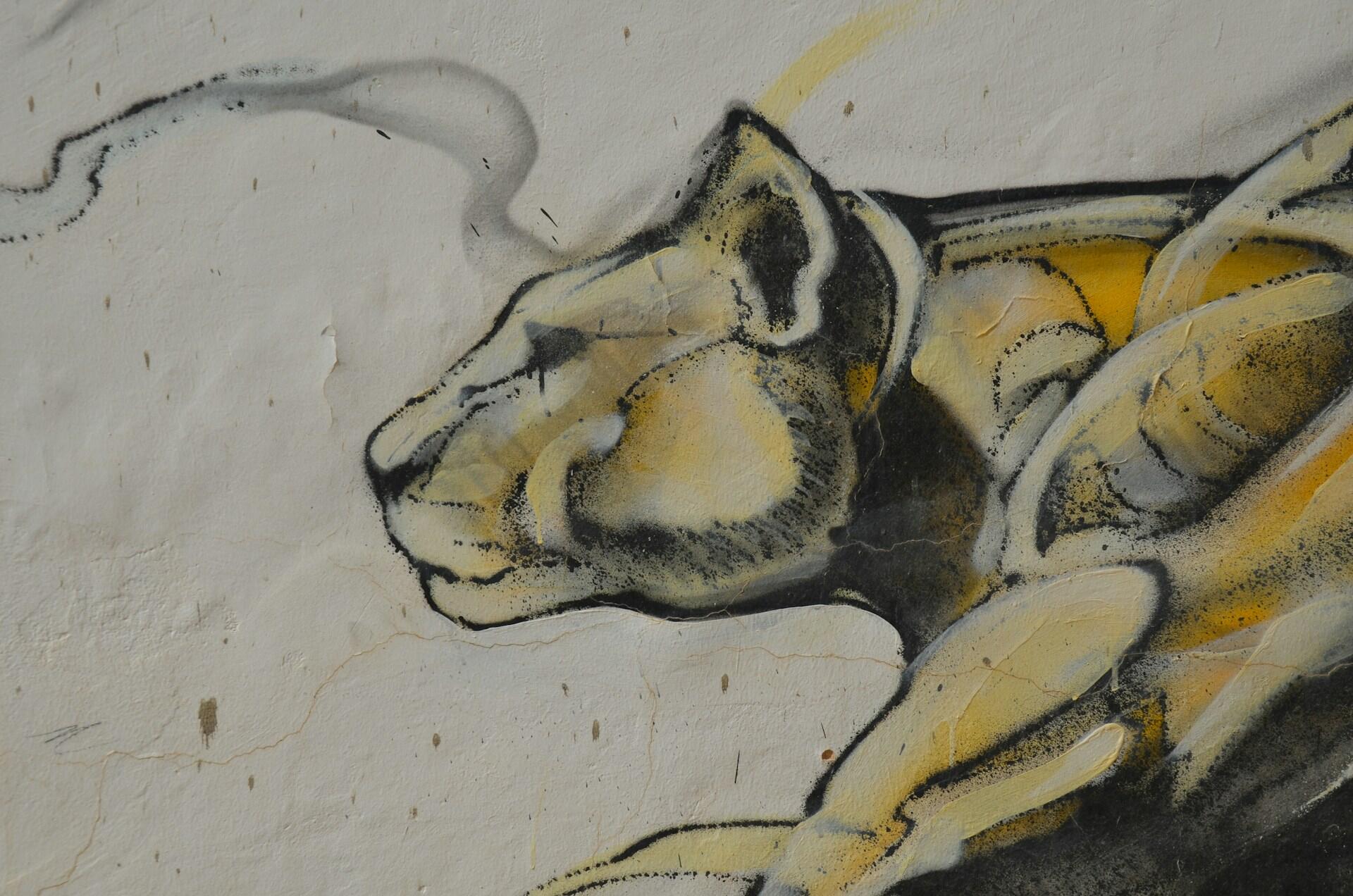 lionne dessin